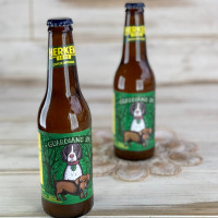 Cerveza herken Guardians IPA 330ml