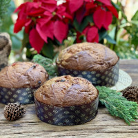 Panettone clasico 500gr