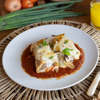 Canelones de carne desmechada con ragu de tomate