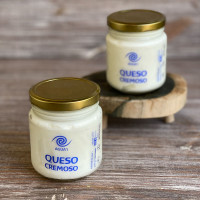 Queso crema 230gr