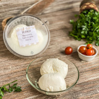 Queso mozzarella fior di latte 300gr